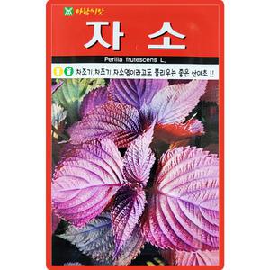 아람종묘 자소 씨앗 1000립 차조기 차즈기 자소씨 종자