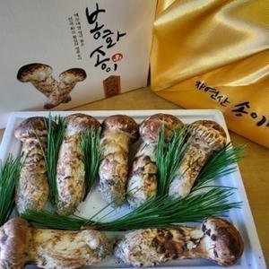 국내산 봉화 자연산 송이버섯 1등급 500g