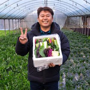 양주농부 모듬쌈채소 클로렐라 샐러드 구이용 20여가지 야채 쌈채소 600g