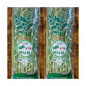 청도 친환경 무농약 한재 미나리 1kg 봄나물 당일수확
