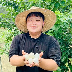 청란 청계알 청계란 난각번호1번 무항생제 유정란 식용 40구