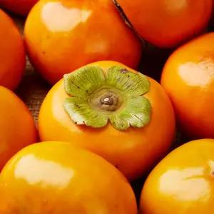 달콤한 경남 단감 5kg 대과 (22~27과내외)