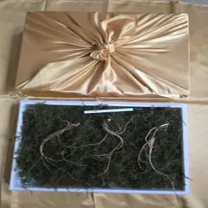 천생삼 산양산삼 13년근 정삼 특상품 3뿌리 산삼 산양삼 장뇌삼