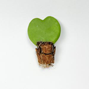 글라스가든 하트호야 다육식물 키우기 쉬운 실내공기정화 수경재배식물