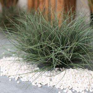 털수염 풀 그라스 조화 사초 인테리어 인조 풀 조경 인조 식물 장식 실크플라워 도매 쇼핑몰