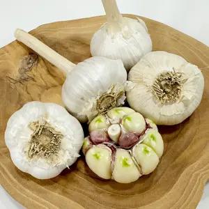 채소다움 25년 햇 수확 홍산마늘 항암마늘 특품 2kg