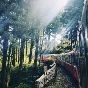 가오슝+아리산 4일 [신세계홈쇼핑][NO쇼핑/NO옵션] #산악열차 #산림욕 #야시장