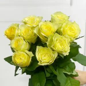 (플라워마켓) 일레오스 노랑 장미 5송이 양재꽃시장 생화 배달 꽃 정기구독