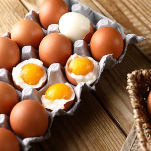 잘 까지는 찐 반숙계란(30알) 반숙란  무염란