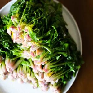 남해군농협 시금치 남해 보물초 1kg 무료배송 신선한 노지 겨울시금치 남해군