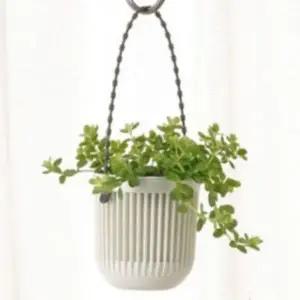 [하프클럽/셀러허브_여성트랜드패션]행잉 공중식물 인테리어 일제 화분 벽