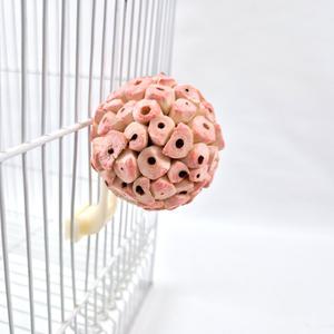 플라스틱 포크 L 앵무새 장난감 용품 입질 훈련 솔라볼 집게 스트레스 해소