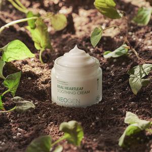네오젠 리얼 하트리프 수딩 크림 80g