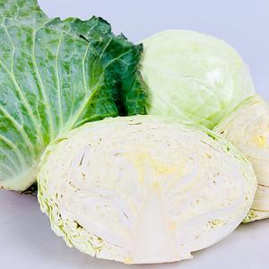 영양가득! 믿고 먹는 건강한 국내산 양배추 1통/3통