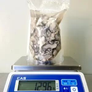통영 생굴 1kg 2kg 횟감용 햇굴 산지직송