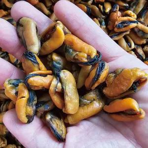 산지직송 100%국내산 남해 건홍합