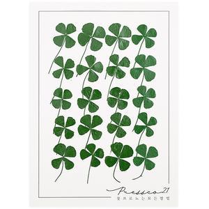 네잎클로버 압화 압화꽃 조화 압화재료 프레스코21