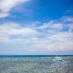 세부 5일 #비막탄 #쿨룸 #전신마사지 #전문다이빙강습 #1일자유일정 #망고1KG