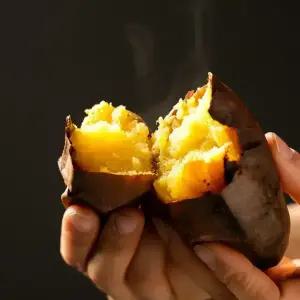 전남 해남참농가 자연그대로 비세척 꿀밤고구마 10kg 왕