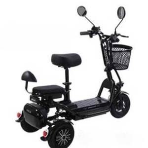 세발 전기자전거 48V 전동 배달 600W 납산 픽업 전동차 성인용 MTB 8a