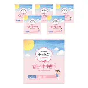 좋은느낌 입는 데이팬티 대형 8매X6팩 입는 생리대 라이트핏 심리스타입 와이드 힙커버