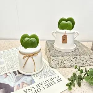 하트선인장 더블하트호야 두촉 호야케리 미니 다육이 공기정화식물 - 침실 공부방 미니화분