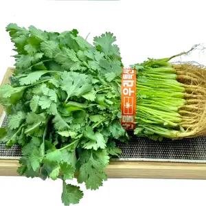 야채이야기 국내산 고수 1단 고수풀 향채 향신료