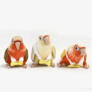 앵무새 기저귀 하네스 새 용품