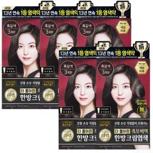 리엔 흑모비책 한방 크림 염색 120g 흑갈색 5개