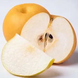 25년 햇 배 15kg (벌크) 달콤아삭한 시원한 가정용 배 1박스 (36~45과)