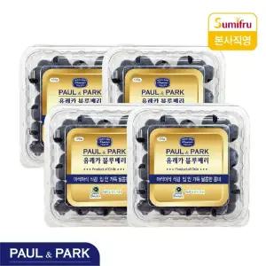 폴앤박 유레카 블루베리 500g (125g x 4팩)