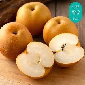 25년 첫 수확 국산 햇 배 가정용 5kg 중대과 (9-10과)