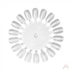 네일 컬러차트 투명