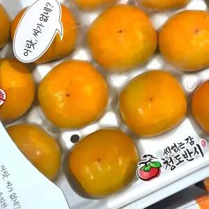 청도 반시 5kg 가을 제철 씨없는 감