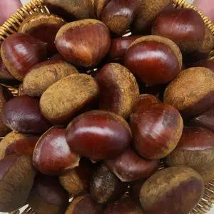 25년 햇밤 부여밤 3kg(중) 국내산 부여 공주 알밤 생밤 국산밤