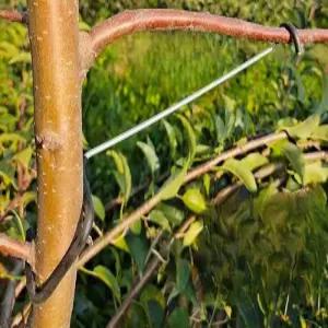 사과나무 가지유인 클립 크립 유인추 개량형 농자재