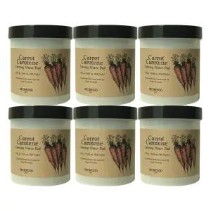 스킨푸드 캐롯 카로틴 카밍 워터 패드 60매 6개 / 써클