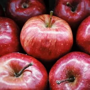 [딜픽]안동 감홍 사과 중과 17-22과 5kg내외 가정용