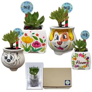 만들기대장 다육식물 화분 꾸미기세트(식물보호케이스