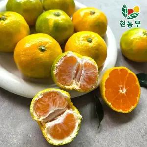 제주 조생 노지 감귤 가정용 실중량 9kg 2S/M(로얄 랜덤과)
