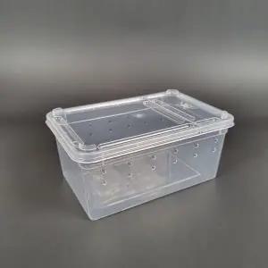 [셀러에이드]도마뱀 사육장 소형 장수풍뎅이 키우기 레오파드게코