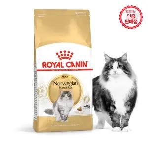 로얄캐닌 고양이사료 노르웨이숲 어덜트 10kg+습2+샘2