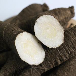 [친환경팔도]제주도 검은 흙 더덕(특) 1kg