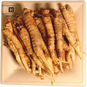 1kg 수입더덕/수입피더덕/중국산피더덕/중국산더덕/피더덕