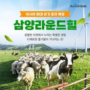 [강원 평창] 대관령 삼양라운드힐