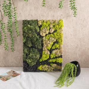 스칸디아모스 공기정화식물 액자 숲사이 set 40cm 인테리어 천연 이끼 벽장식 소품 플랜테리어 벽걸이 현관