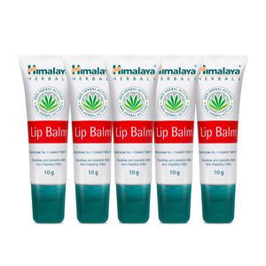 히말라야 립밤 10g X 5입