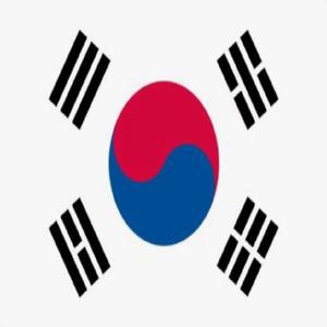 국가 태극기 응원 얼굴 인스턴트 타투스티커 물전사지