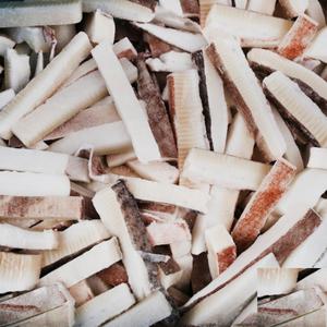 어부백서 대왕오징어 무라귀채 4kg