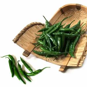 [산정마을] 국내산 청양고추 10kg